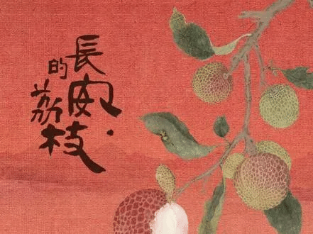 《长安的荔枝读后感》